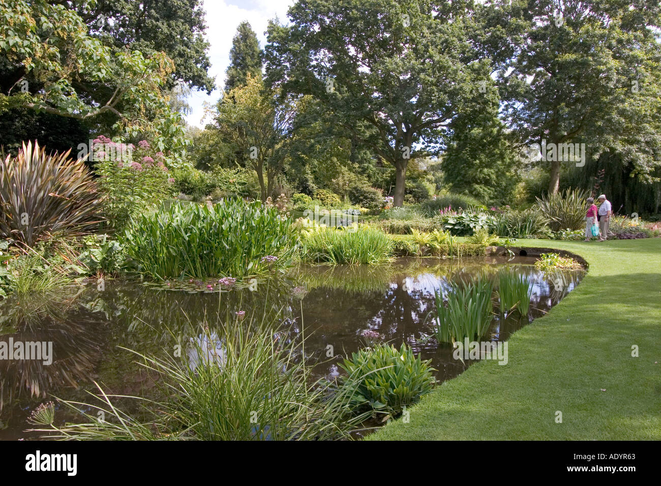 The Beth Chatto Gardens Elmstead Market near Colchester Essex Stock