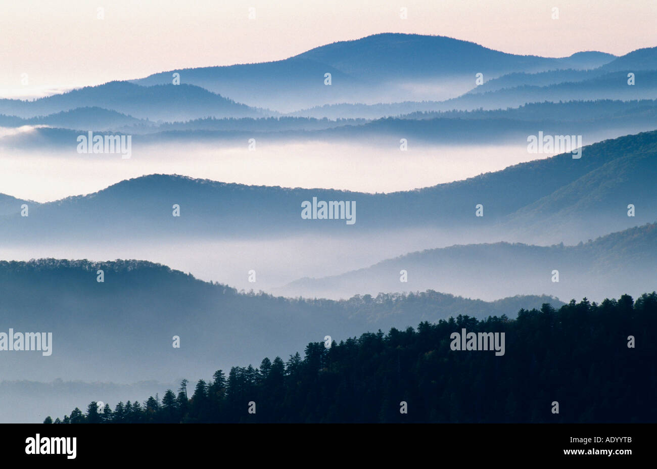 Morgennebel ueber den Bergketten der Smoky Mountains Appalachen Great Smoky NP North Carolina USA October Stock Photo