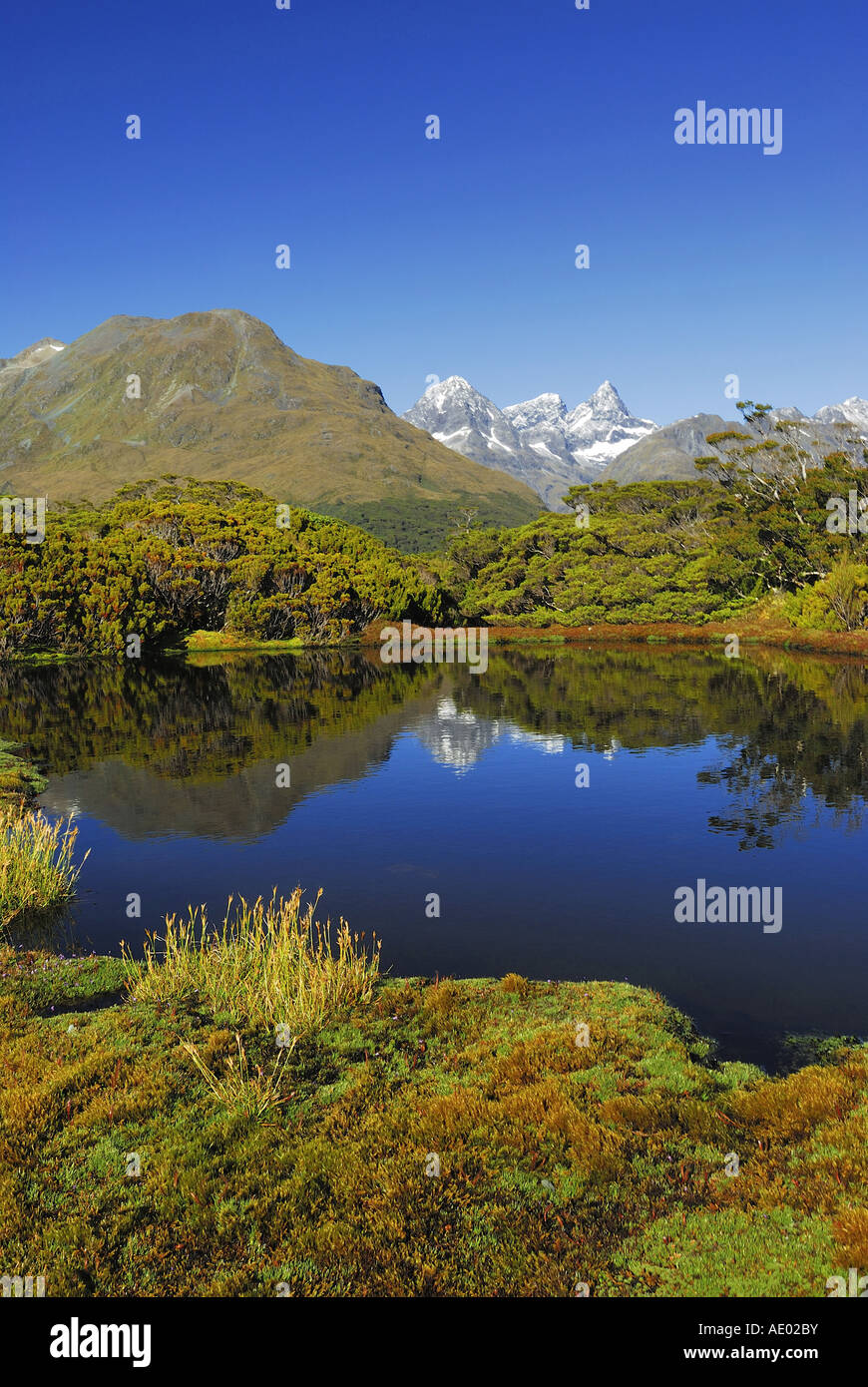 Key Summit with mirror image, New Zealand, Southern Island, Fjordland National Park Stock Photo