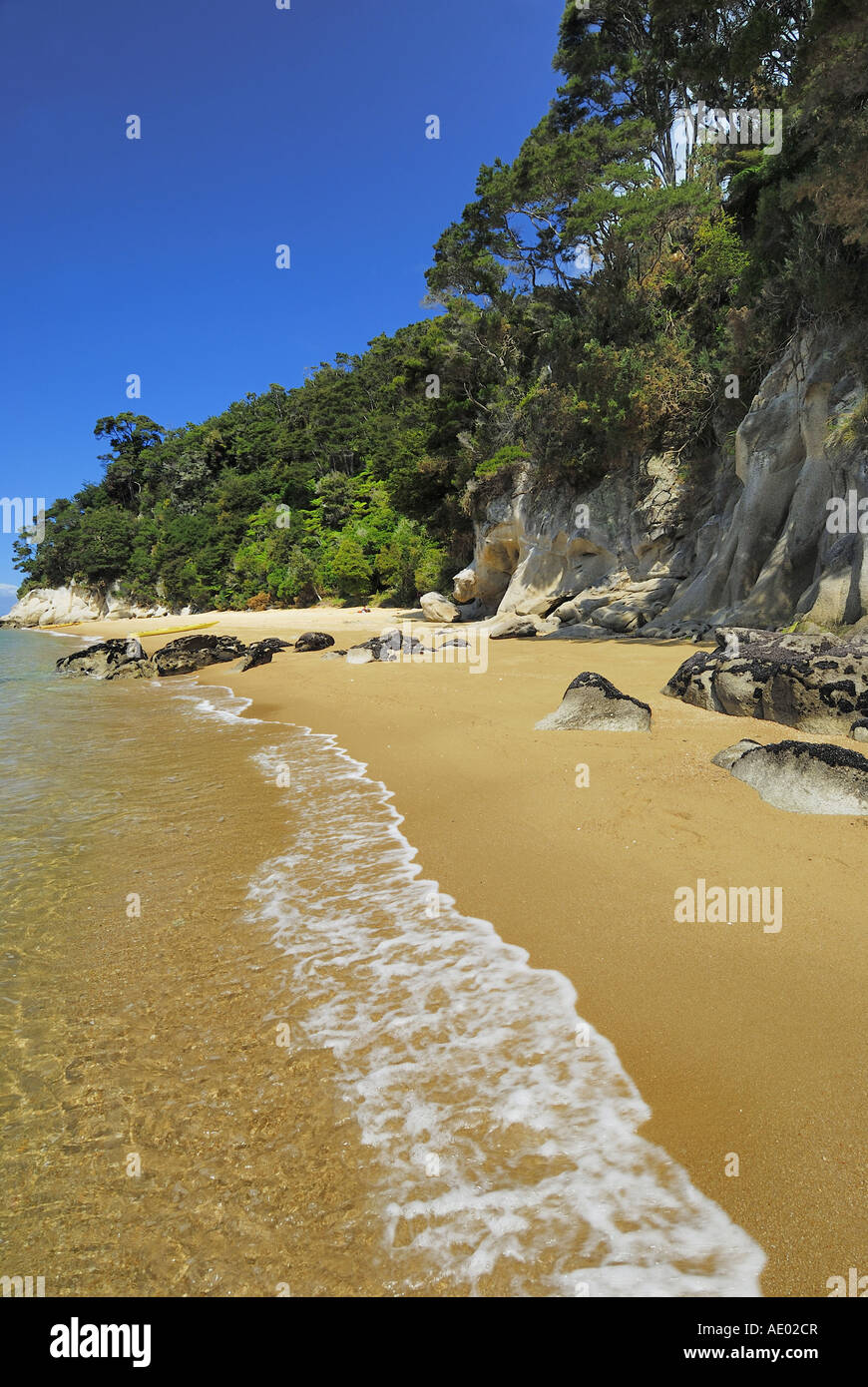 sandy beach in the Abel Tasman National Park, New Zealand, Southern