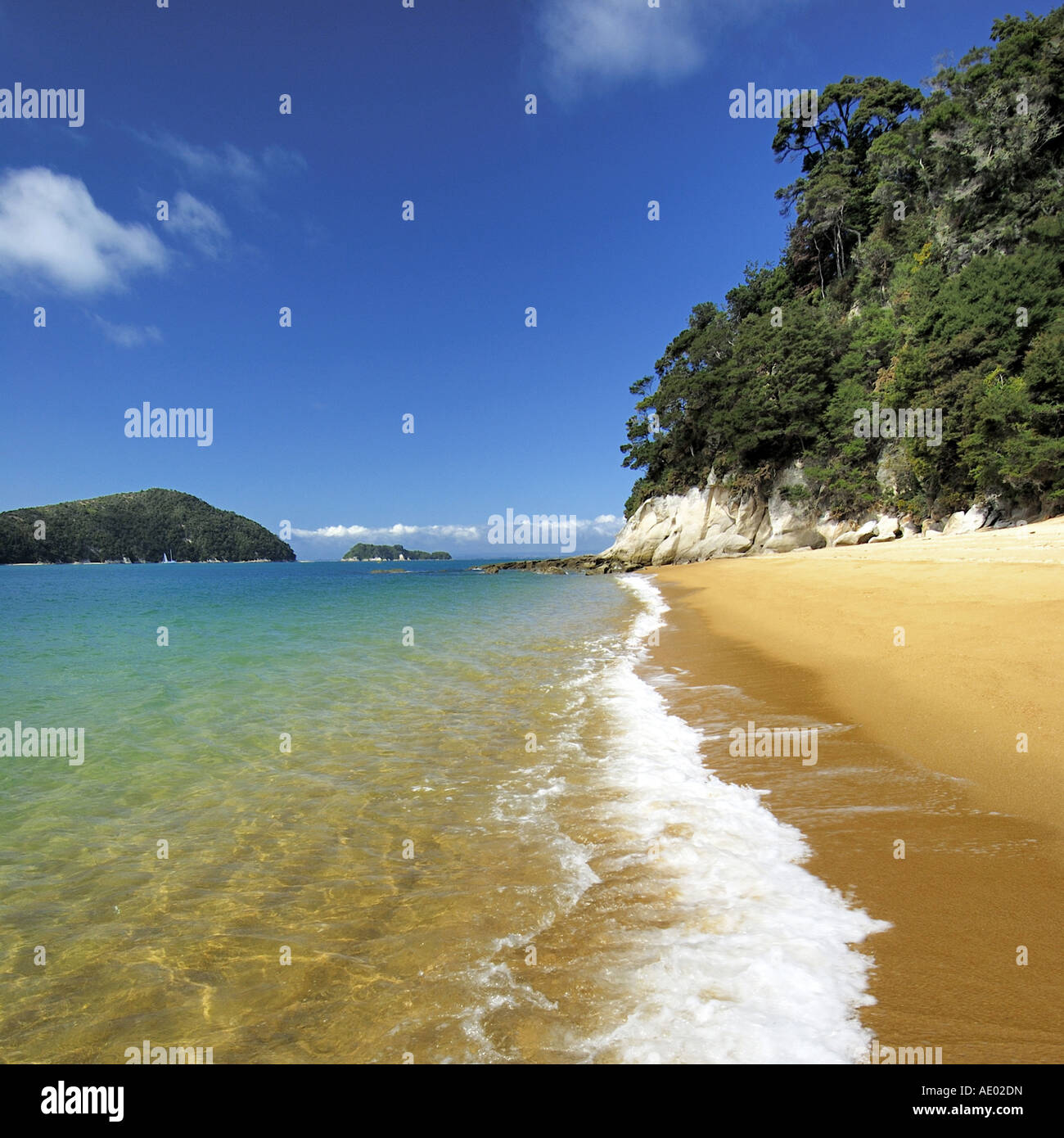 My Image 22