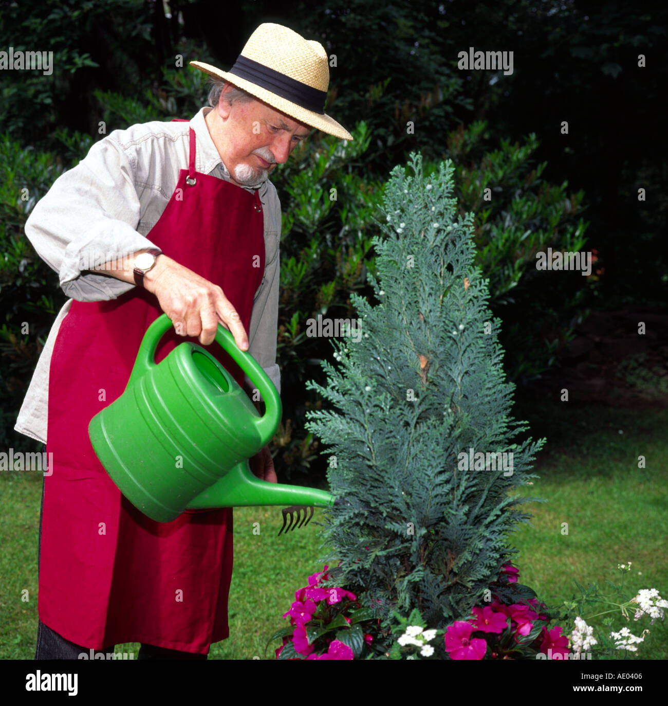 Old man working in his garden Stock Photo - Alamy