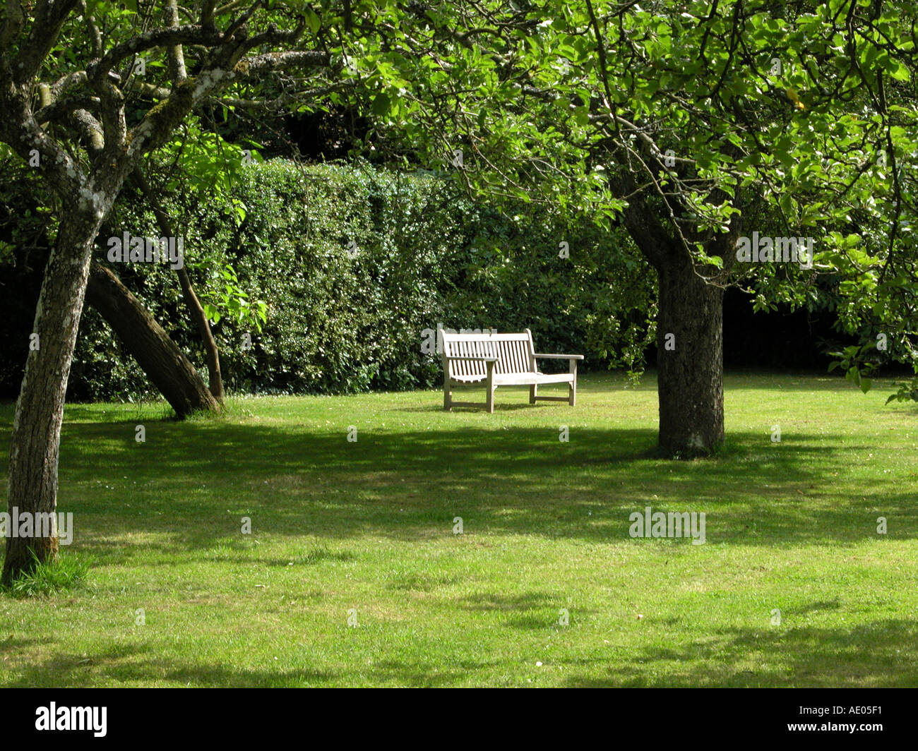 Empty Bench in a park Stock Photo