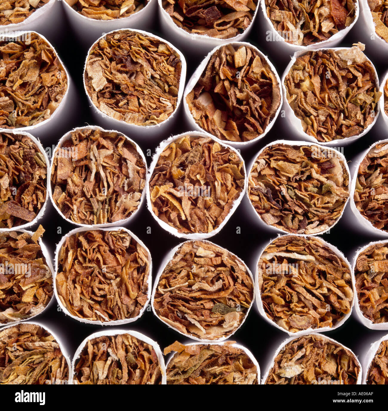 tobacco in cigarettes Stock Photo Alamy