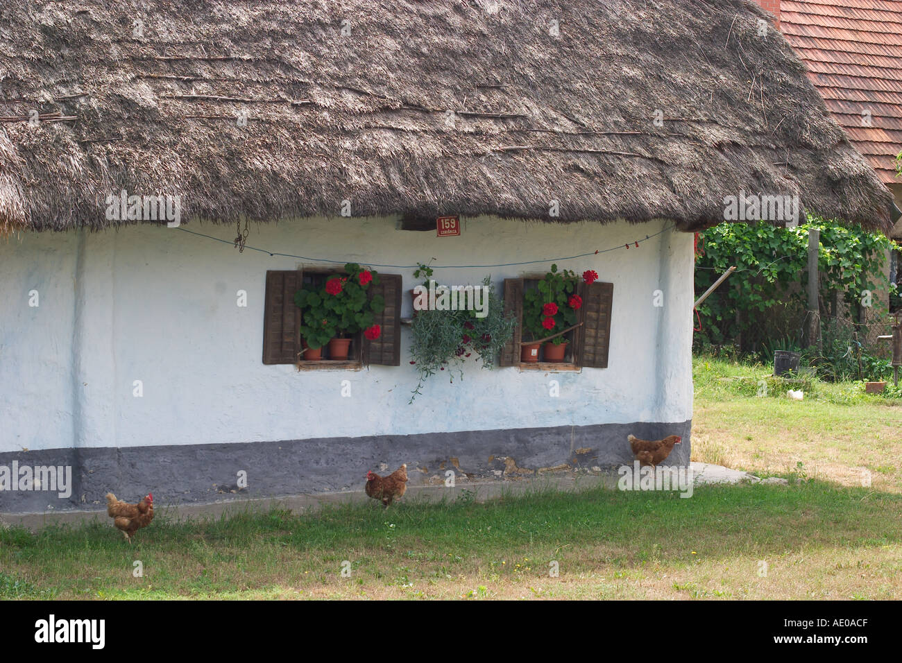 Dominko Haus aus 18 Jahrhundert Pannonisches Bauernhaus in Gorisnica Slowenien Slovenia Stock Photo