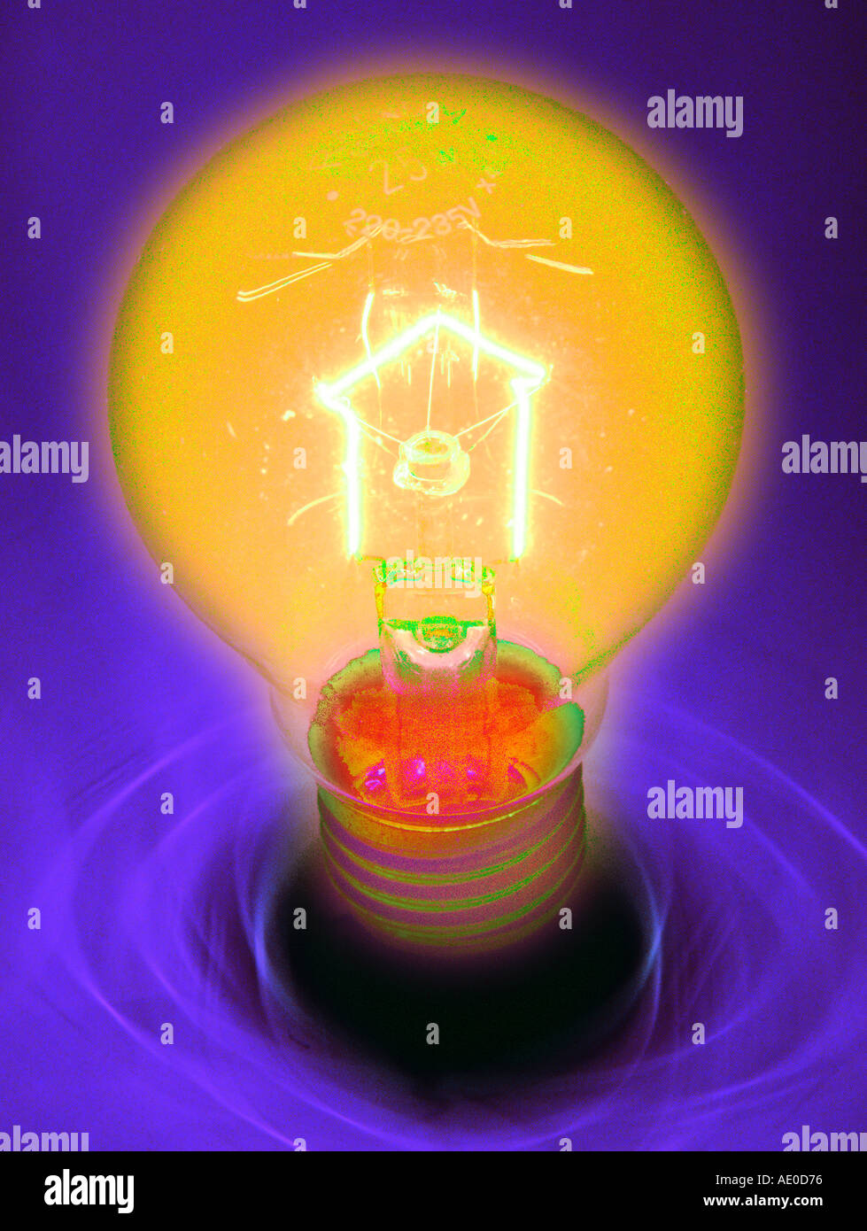 electric light bulb Stock Photo Alamy