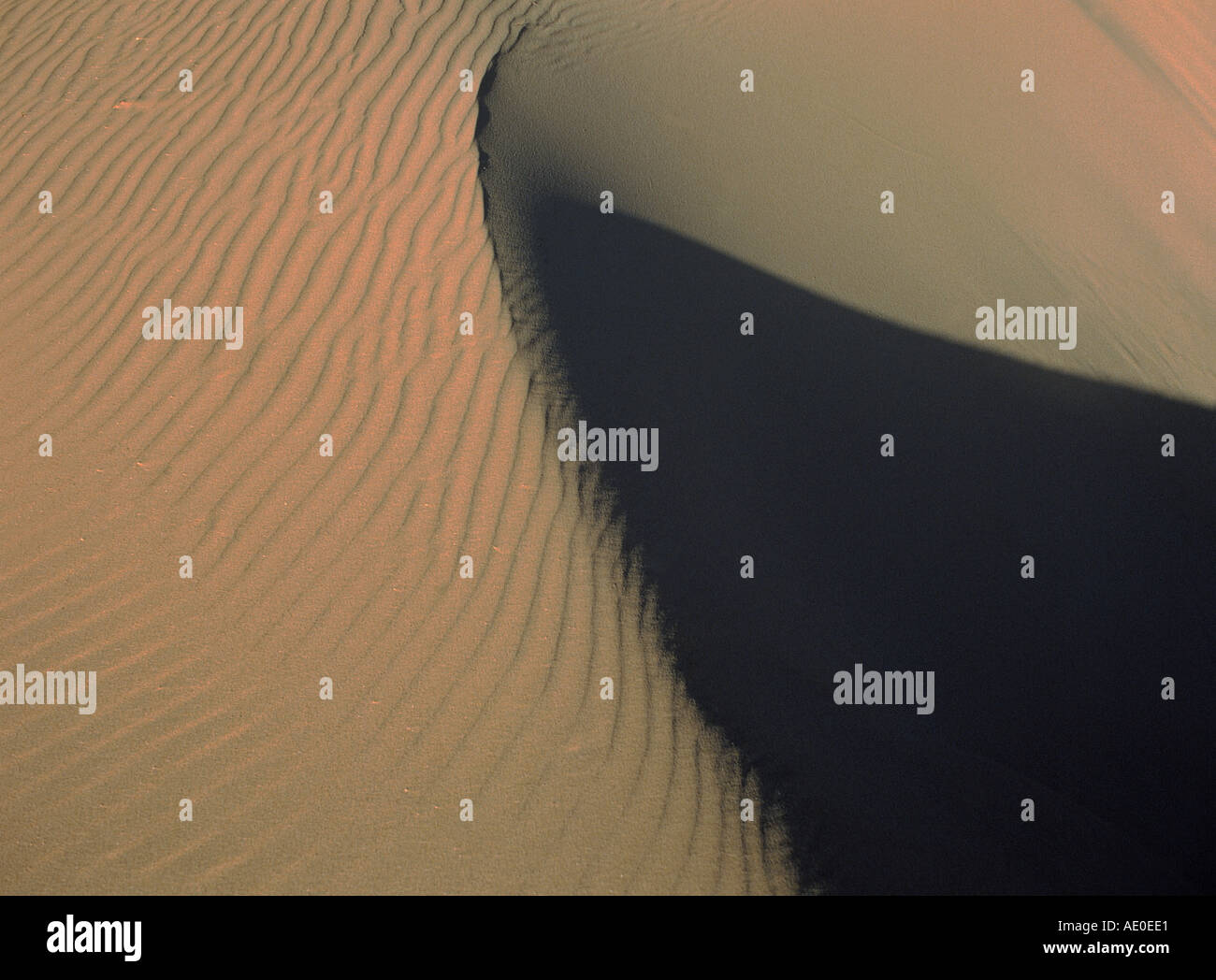 line patterns in sand dune from wind Stock Photo