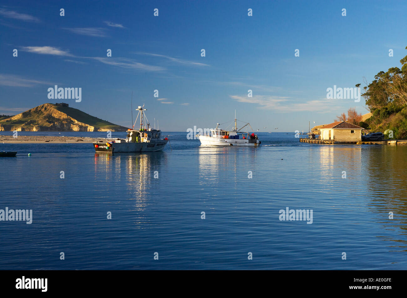 Karitane hires stock photography and images Alamy