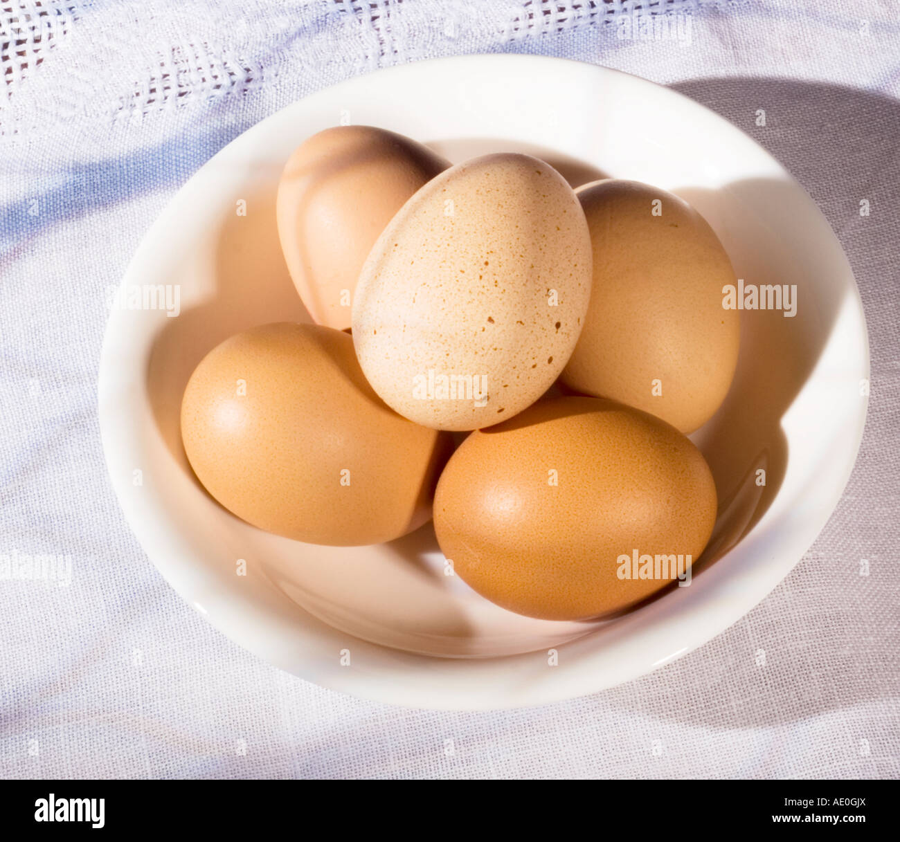 Brown speckled hen eggs in white bowl Stock Photo