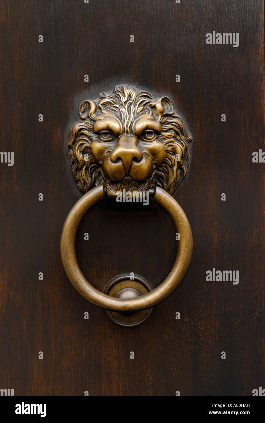 Lion's head door knocker Stock Photo