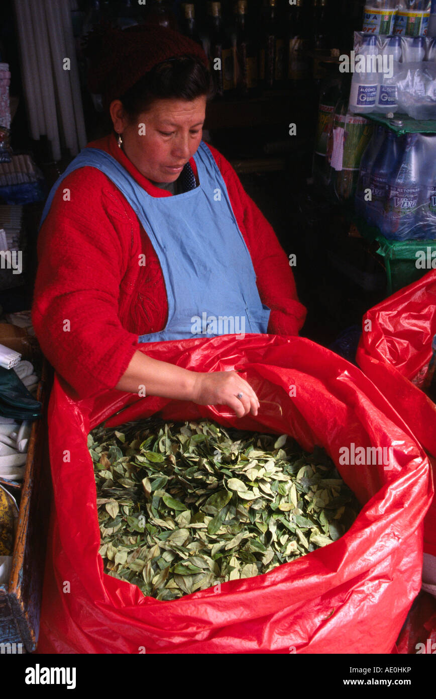 Coca leaves Potosi BOLIVIA Stock Photo Alamy