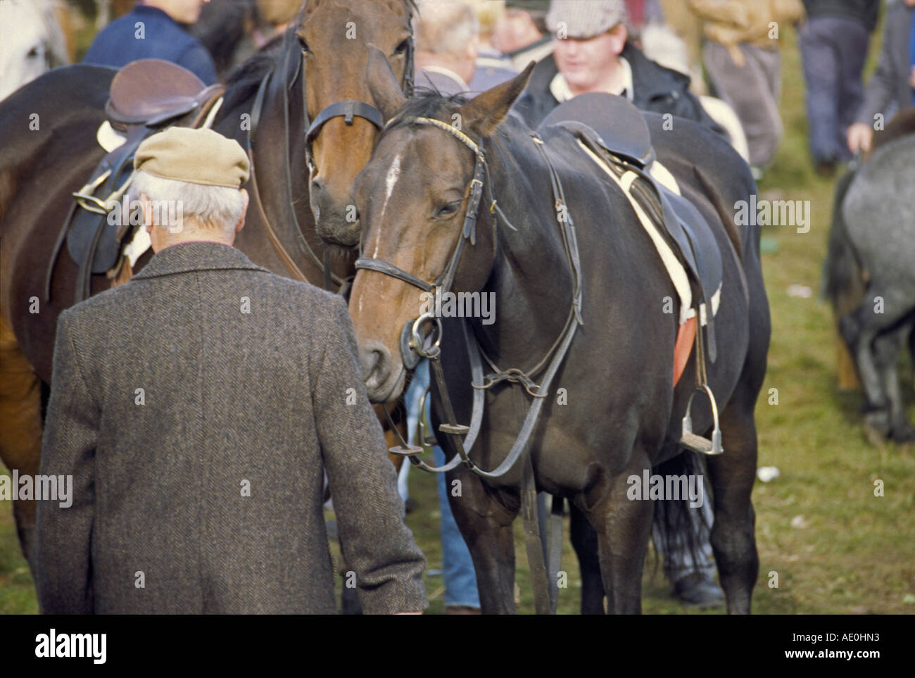 Ballinasloe Horse Fair, Ballinasloe, County Galway Eire Stock Photo