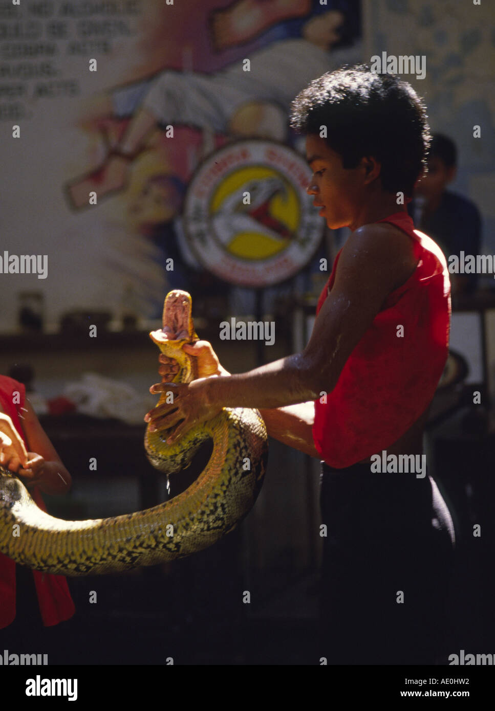 Attraction snakecatcher constrictor hi-res stock photography and images
