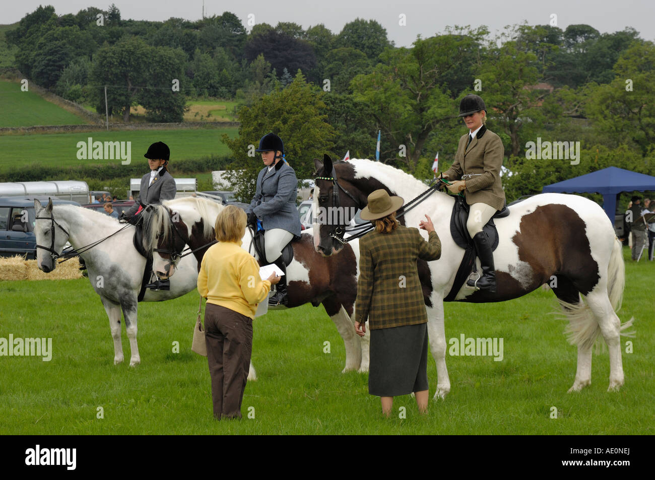 Coloured Horses class, Danby Show, North York Moors, North Yorkshire