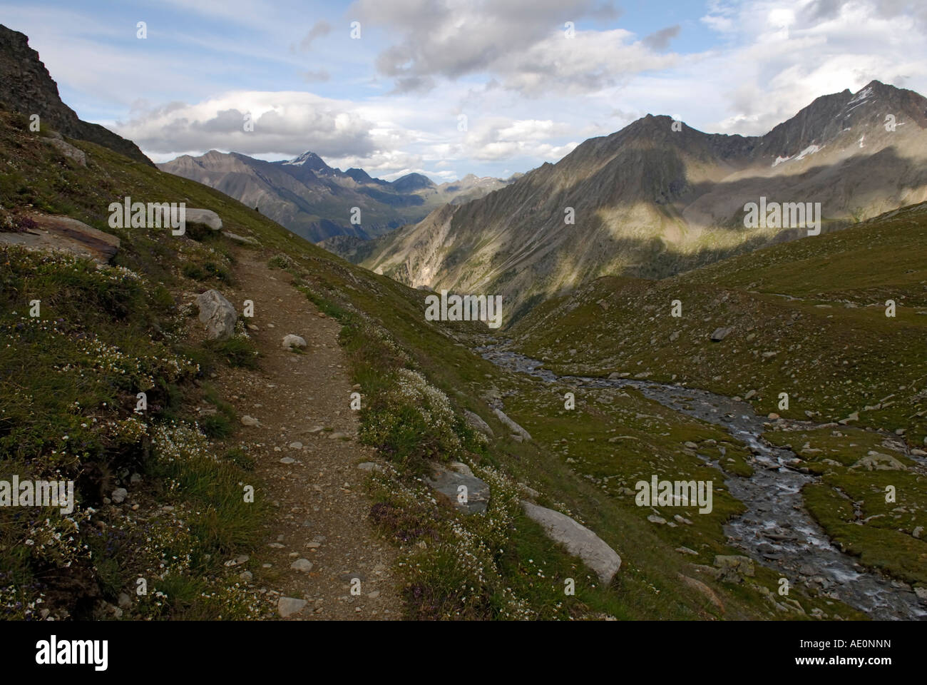 Alpine hiking trail, path, beside an alpine meadow, Gran Paradiso National Park, Italian Alps Stock Photo
