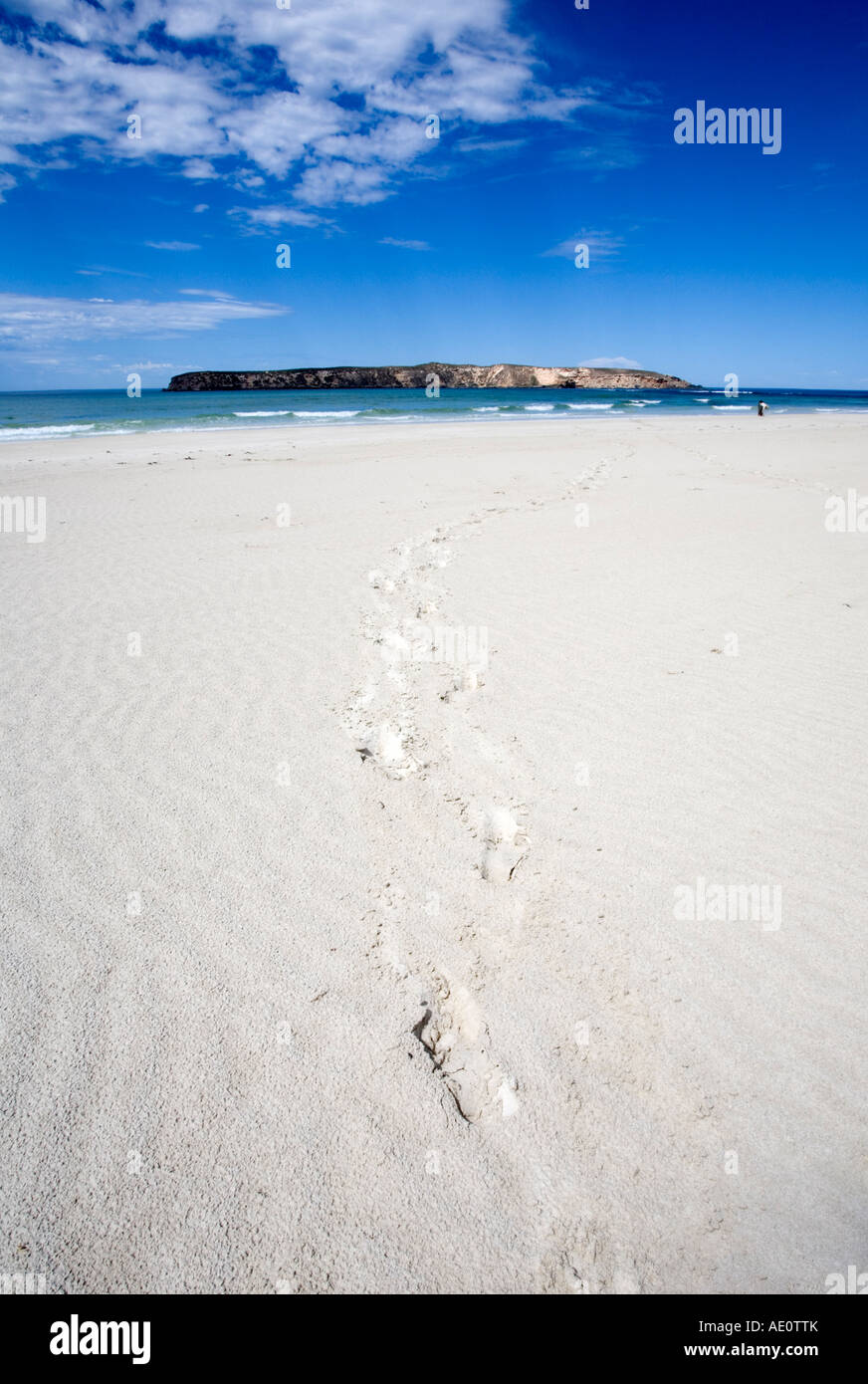 Golden Island from beach Coffin Bay National Park South Australia SA