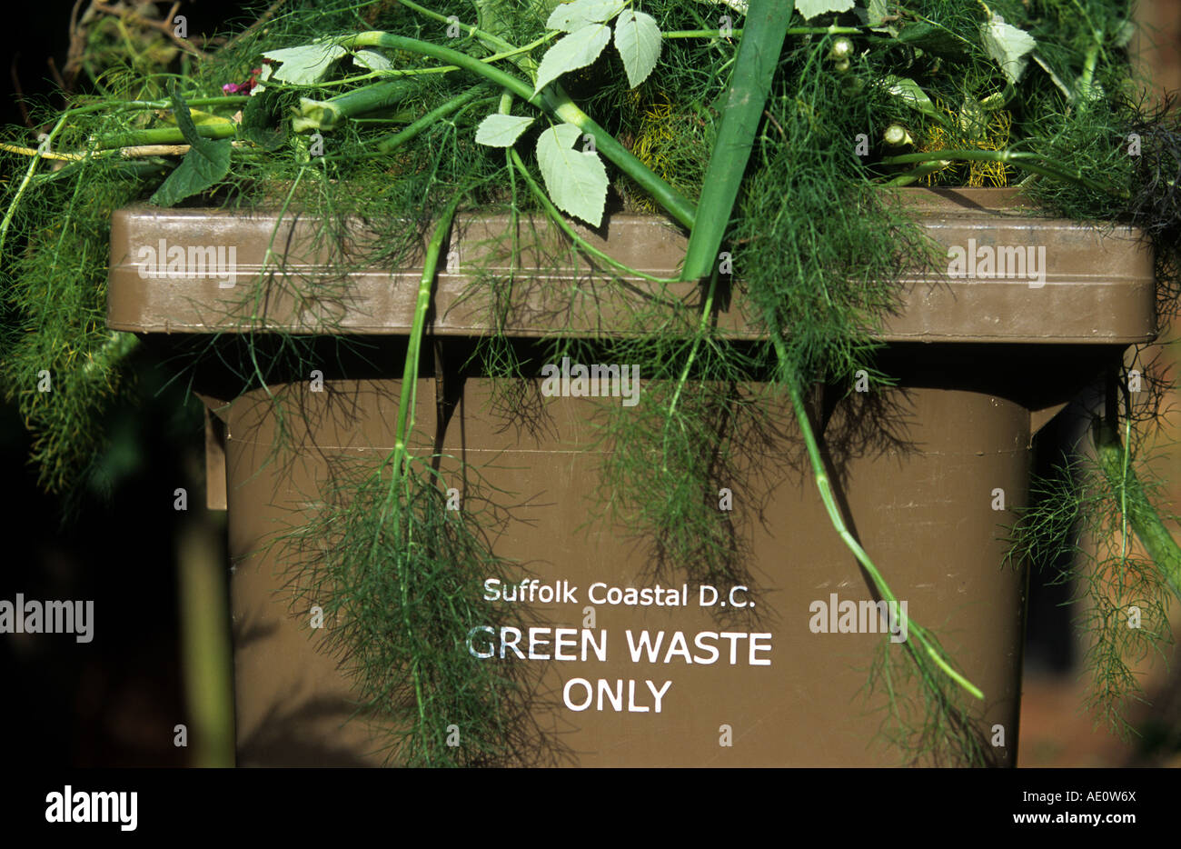 Green waste recycling bin, Bawdsey, Suffolk, UK Stock Photo Alamy