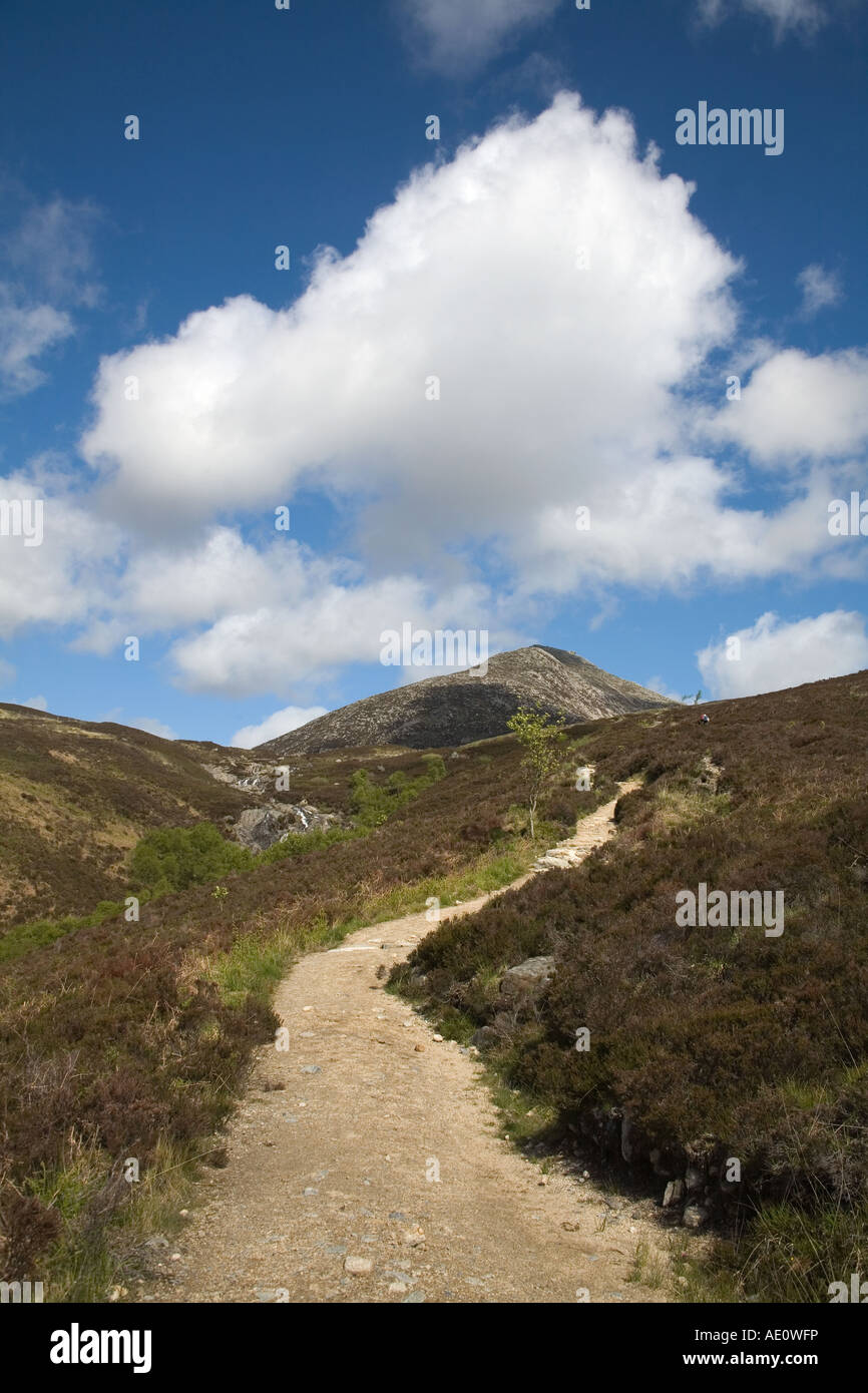 footpath leading to the summit of Goat fell Arran Scotland Stock Photo