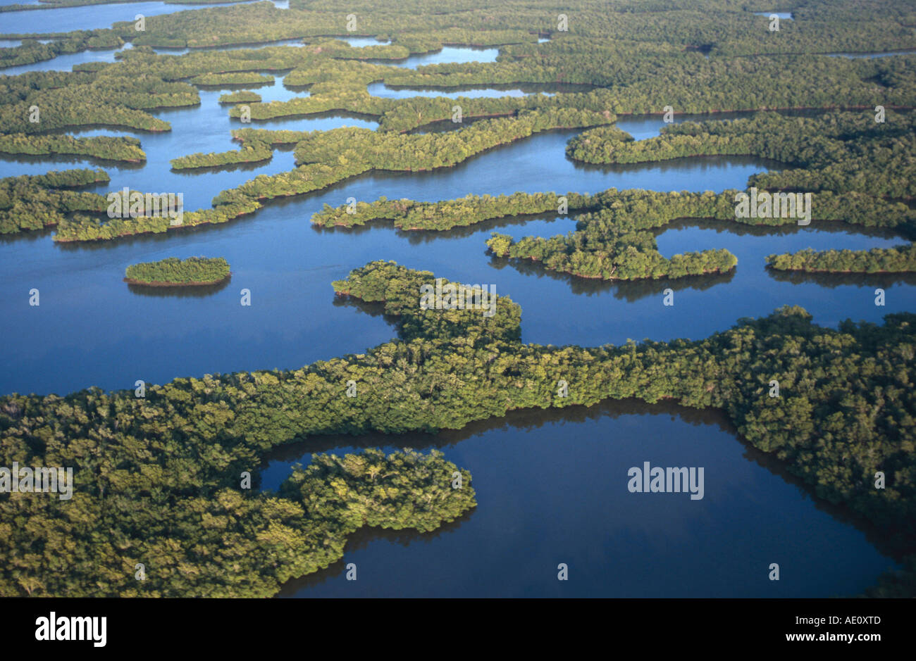 Ten Thousand Islands Everglades USA Stock Photo