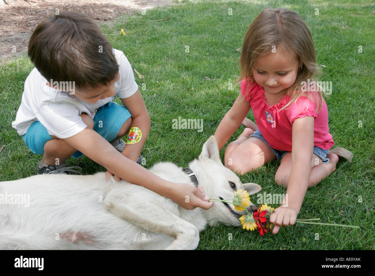 Valparaiso Indiana,Windy Ridge Farms,nursery,boy boys lad lads male