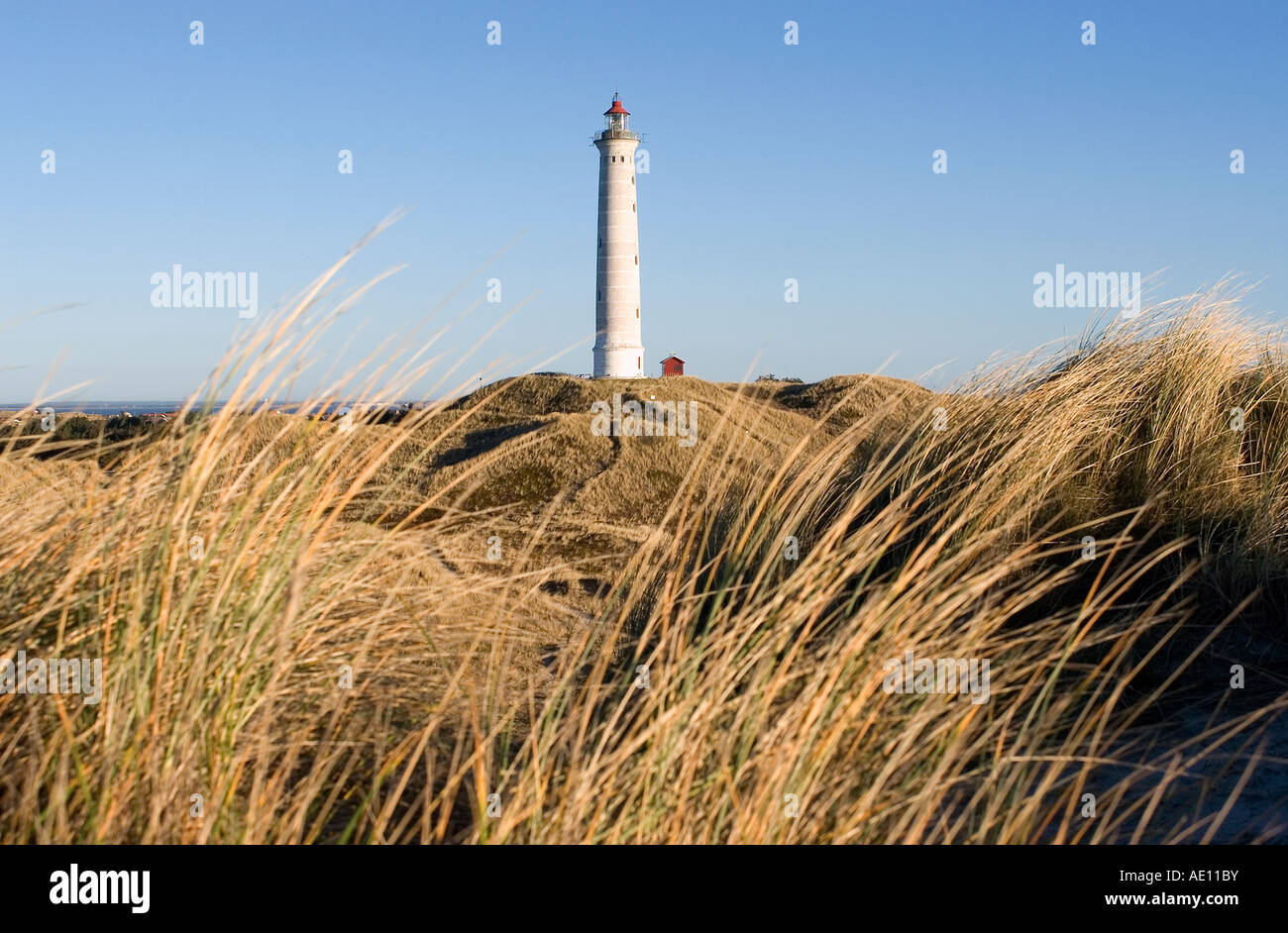 Sande Denmark A lighthouse, Hvide Sande, Denmark Stock Photo - Alamy