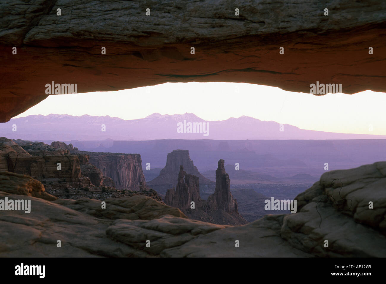 Entrada Sandstone Mesa Arch before Sunrise Island in the sky District Sanstein Canyonlands NP Utah USA Stock Photo