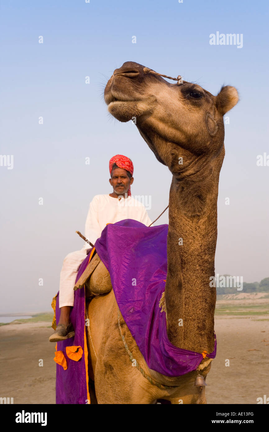 India Uttar Pradesh Agra portrait of a man sitting on his camel wearing a colourful turban outside the Taj Mahal Stock Photo