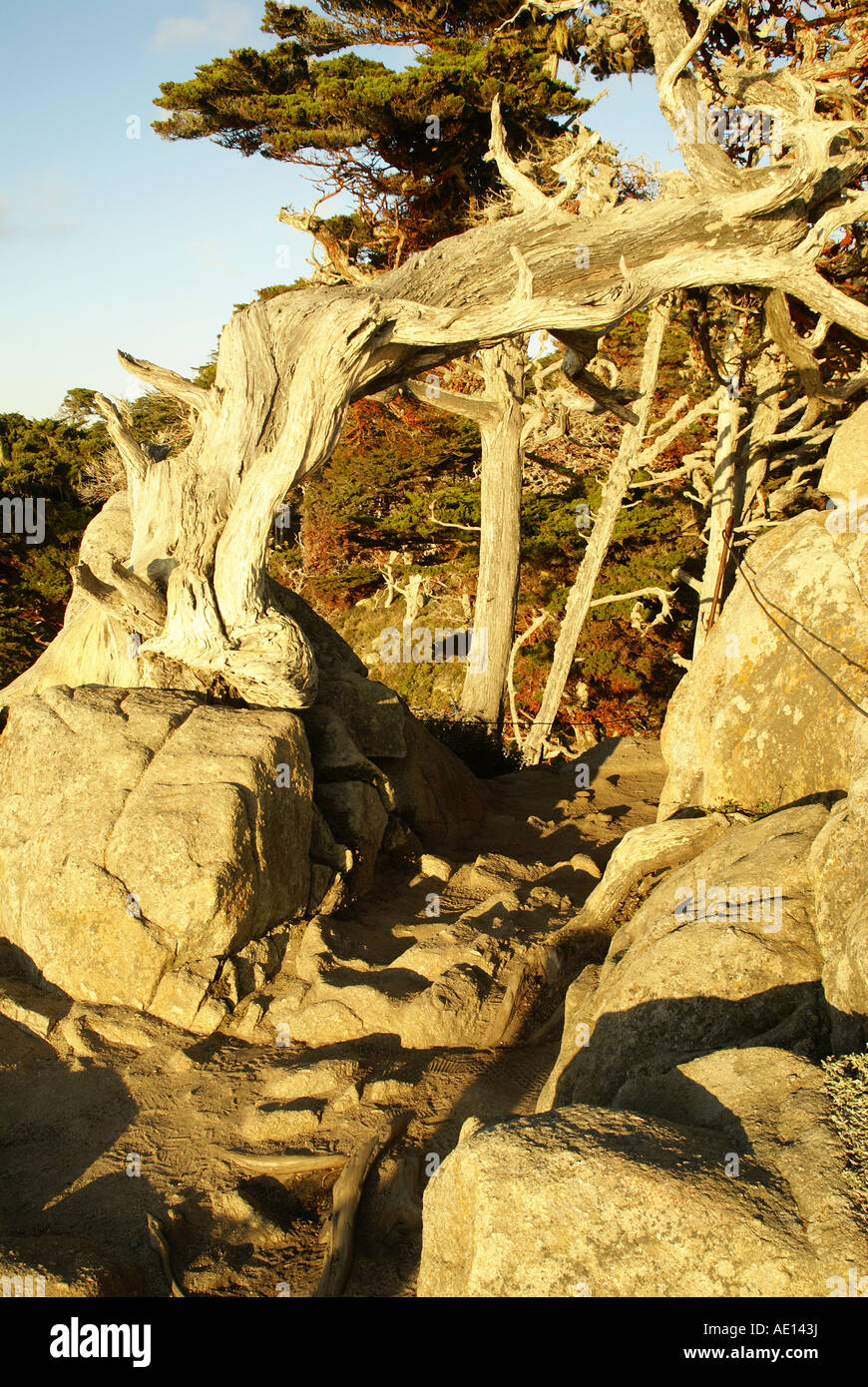 Carmel by the sea village hires stock photography and images Alamy