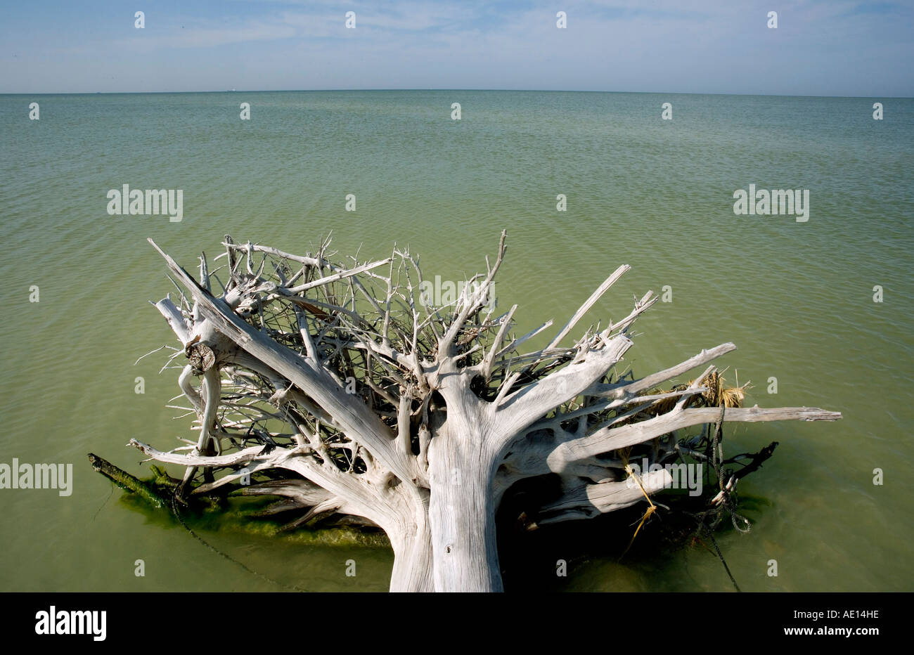 De Soto Park beach near Tampa Florida USA Stock Photo Alamy