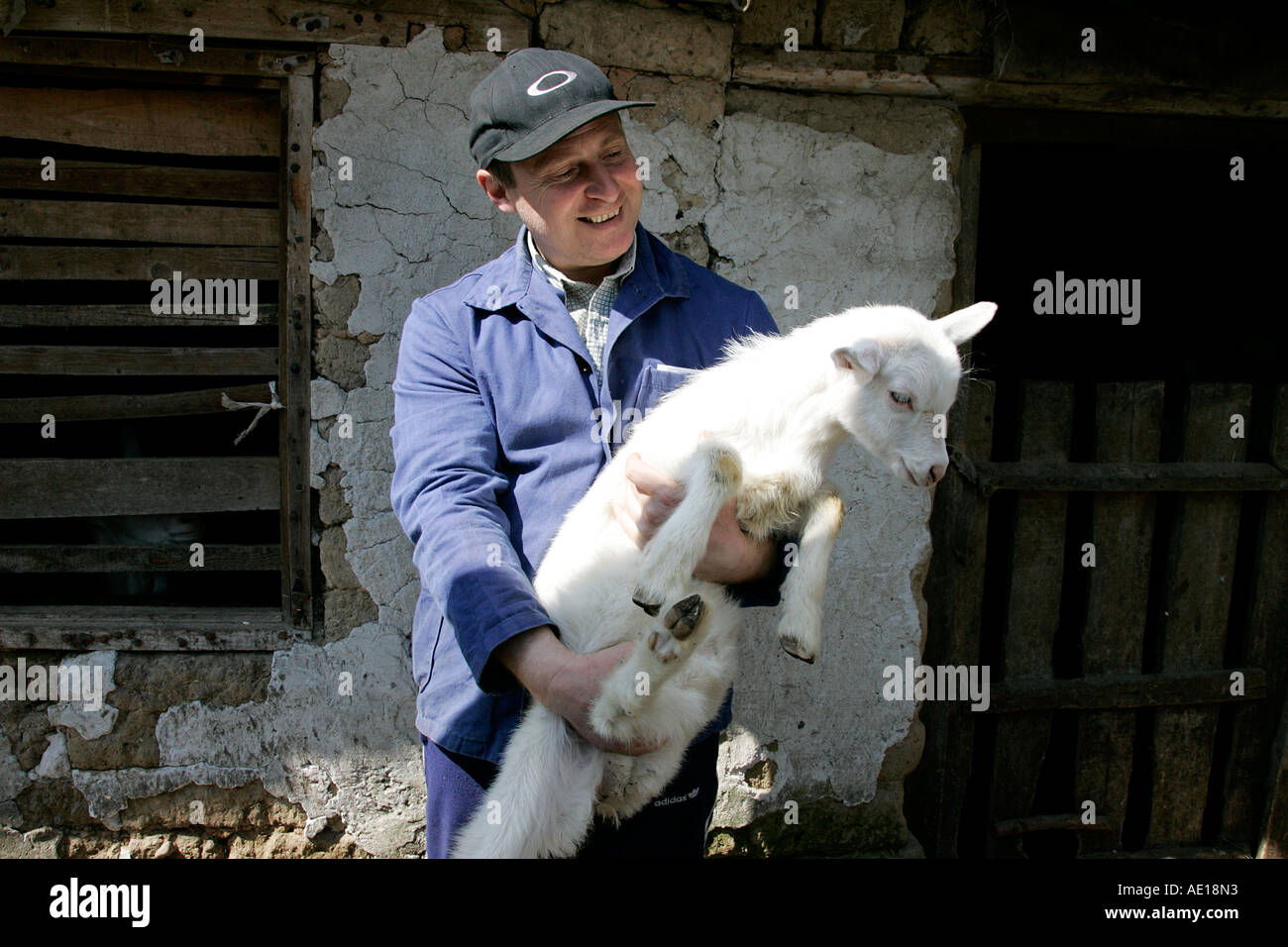 Goat kit animal mammal man farmer farm croft home house garden cattle shed stable housework dray man rural old village cart Stock Photo - Alamy Goat kit animal mammal man farmer farm croft home house garden cattle shed stable housework dray man rural old village cart Stock Photo - Alamy