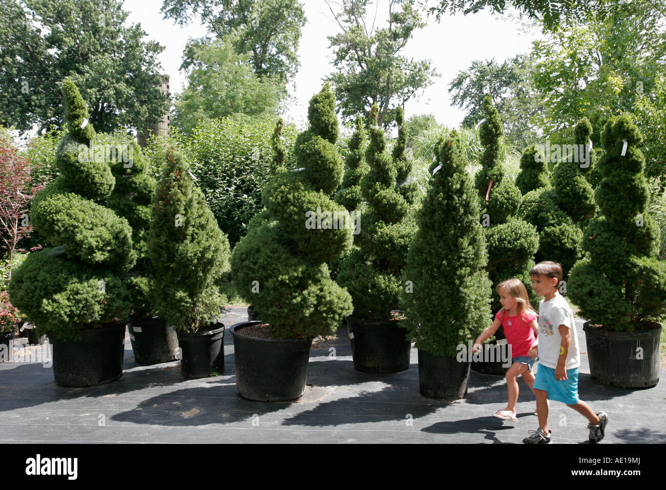 Valparaiso Indiana,Windy Ridge Farms,nursery,boy boys lad lads male