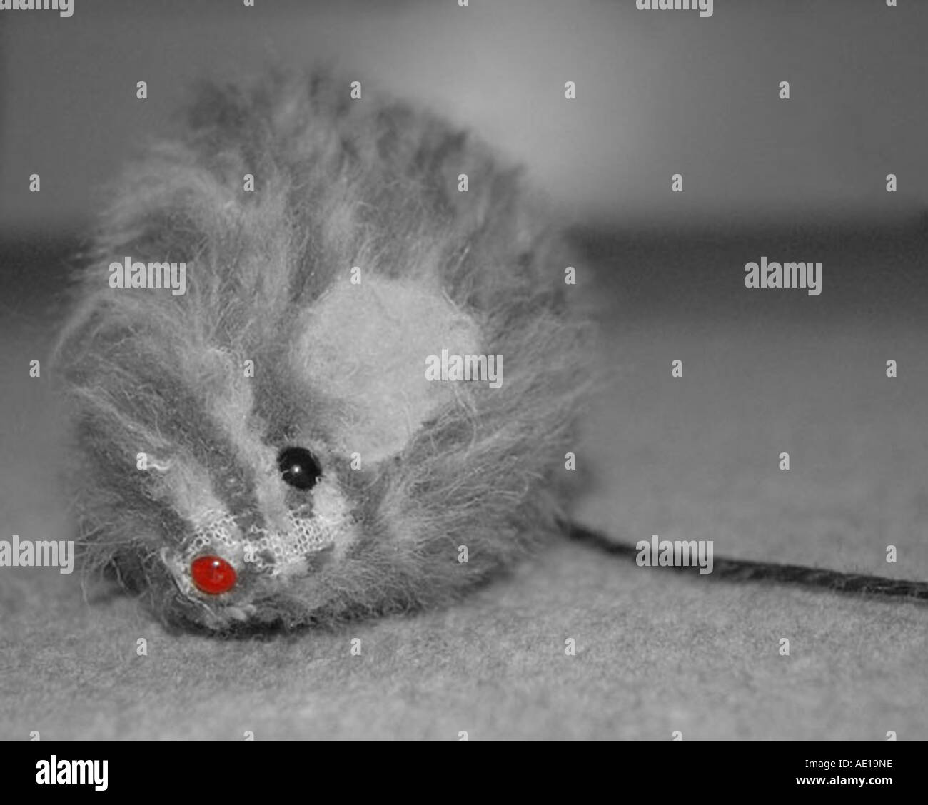 Wool mouse hires stock photography and images Alamy