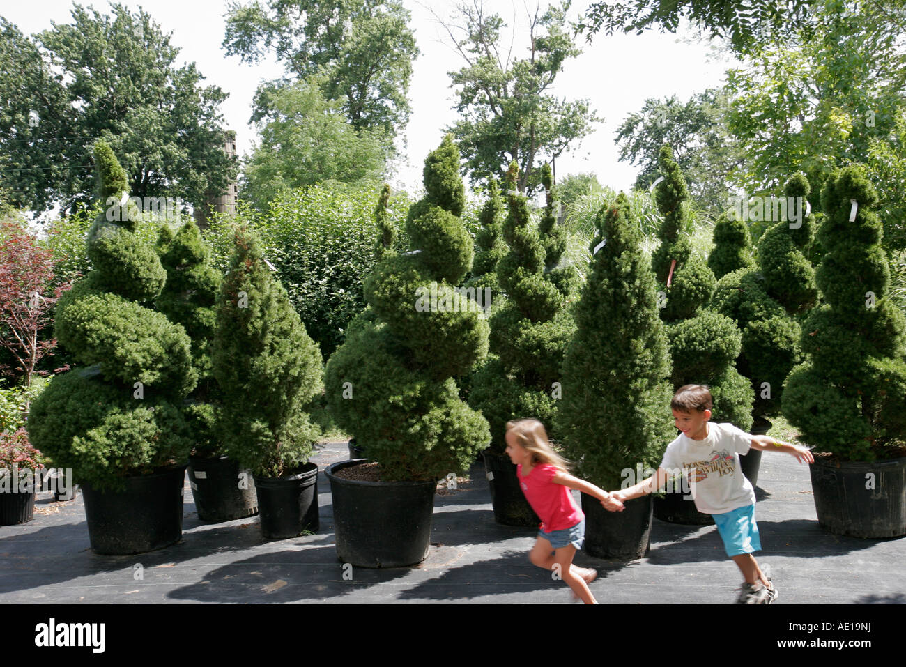 Valparaiso Indiana,Windy Ridge Farms,nursery,boy boys lad lads male