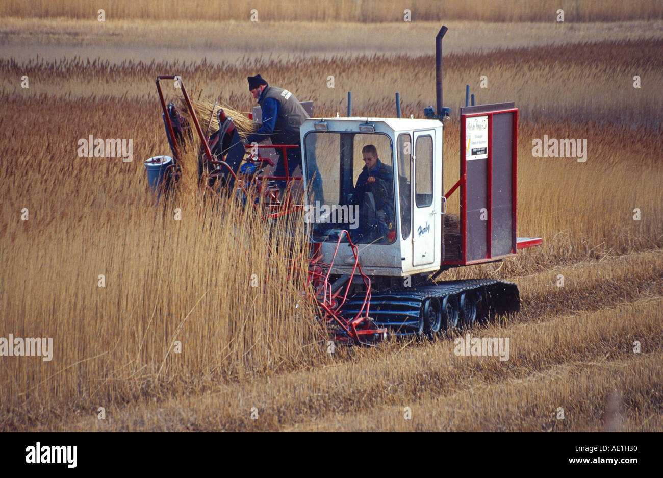 Reed mower hires stock photography and images Alamy
