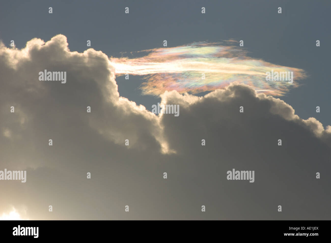 Rainbow effect (sundog) in clouds at sunset, Florida Stock Photo Alamy