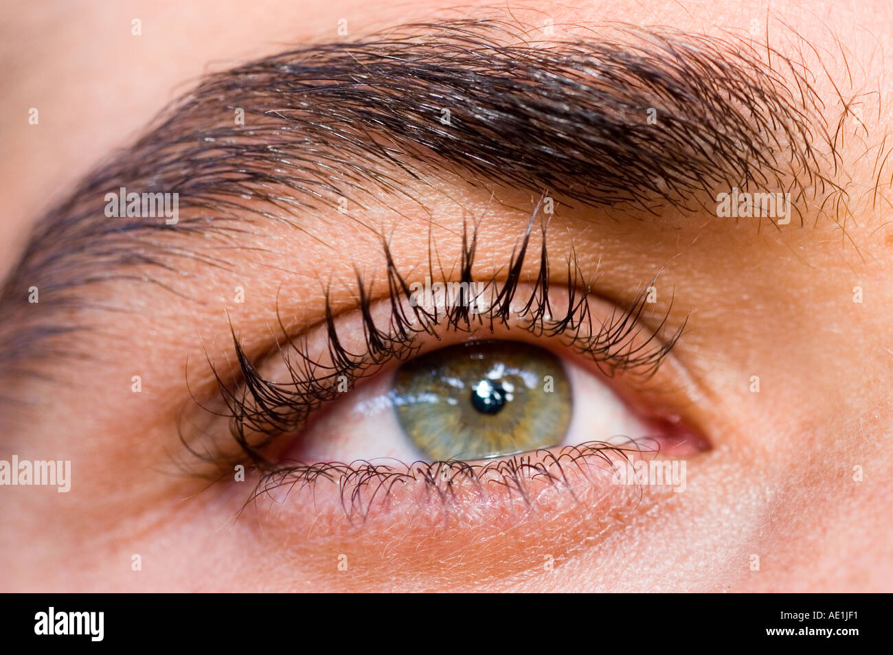 Human eye body part hi-res stock photography and images - Alamy