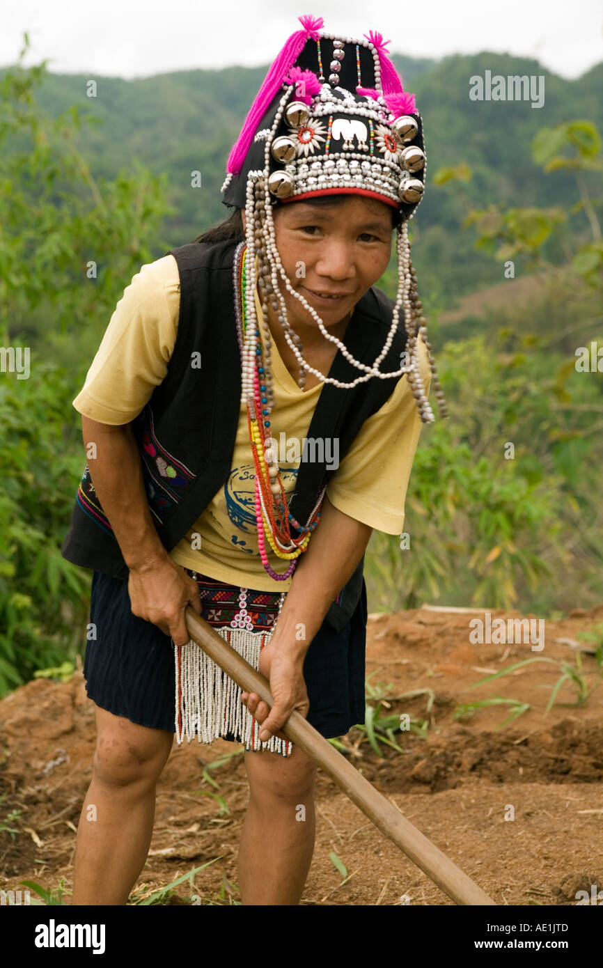 Akha people at North Thailand, growing crop. Stock Photo