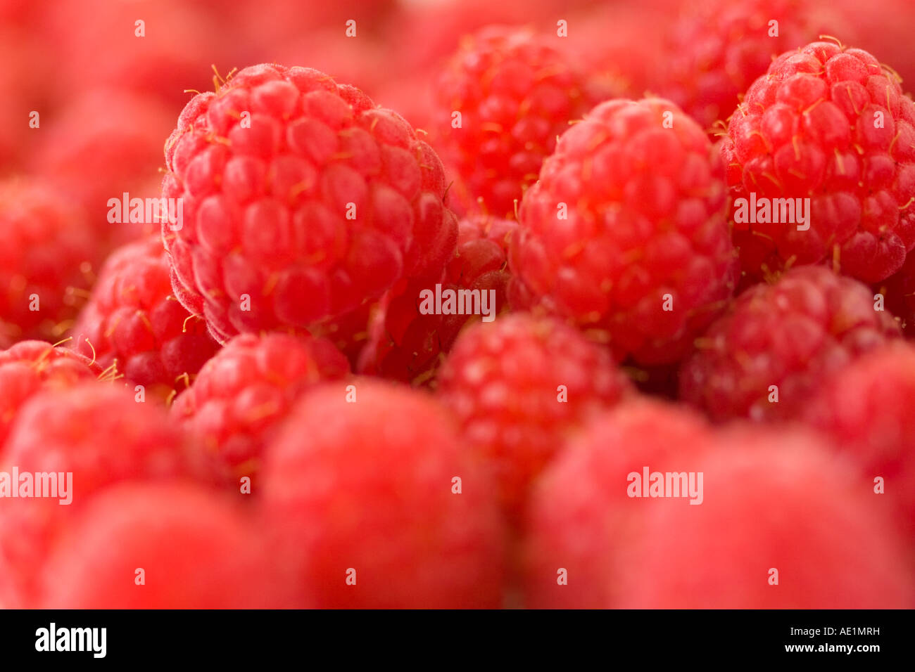 Raspeberries displayed for sale Stock Photo