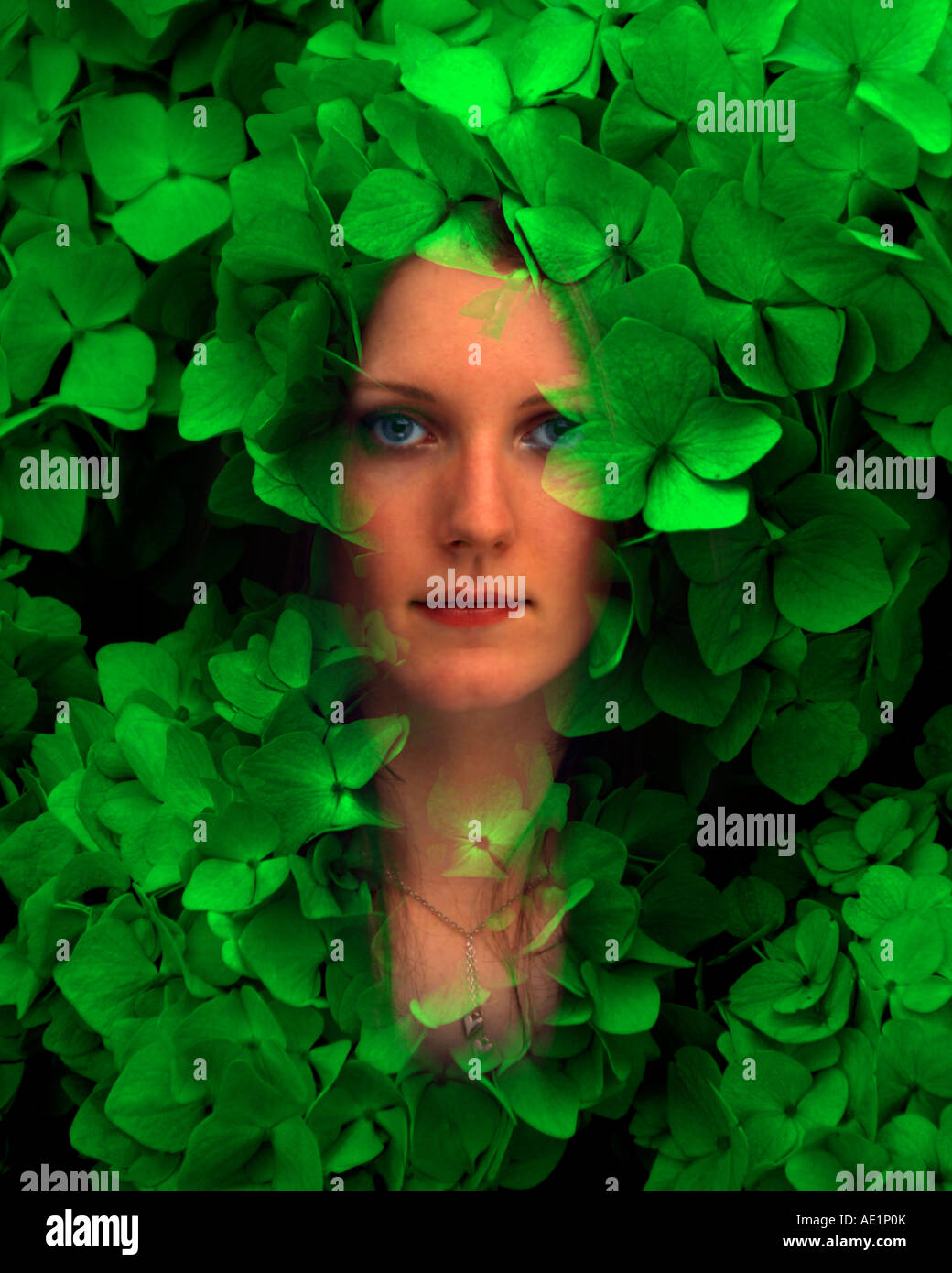 A staring look on the face of a young woman a Green Woman indigomoods digital composite montage fine art Stock Photo