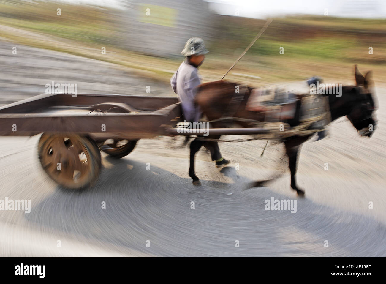 Man driving donkey pulling cart down road China Asia Stock Photo Alamy