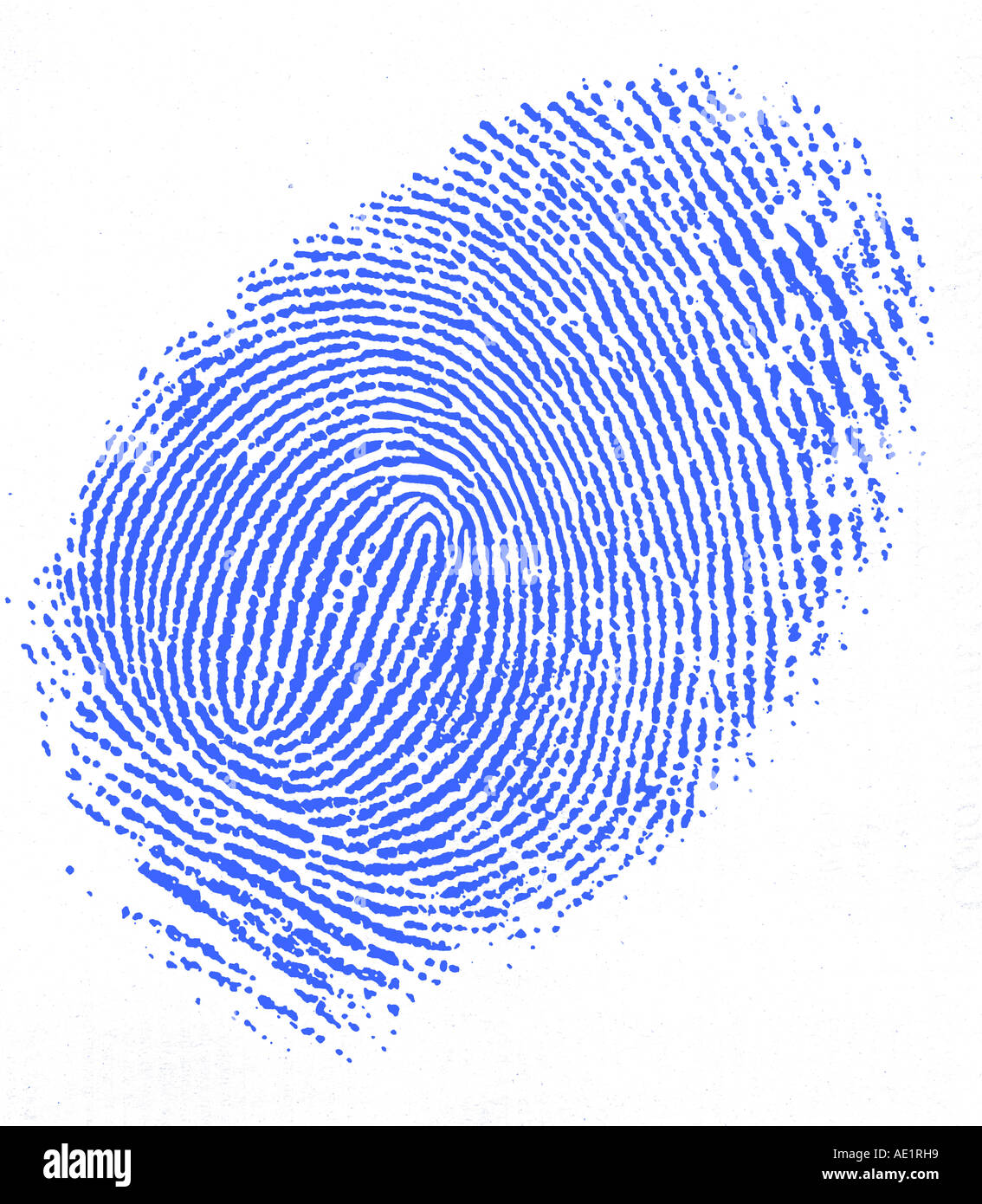 closeup of blue fingerprint Stock Photo