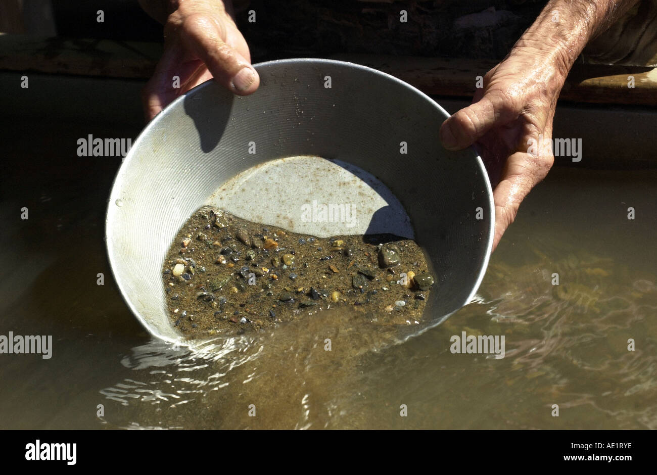 Gold panning. Prospector is looking for gold in the river during gold rush.  Generative AI 22229946 Stock Photo at Vecteezy
