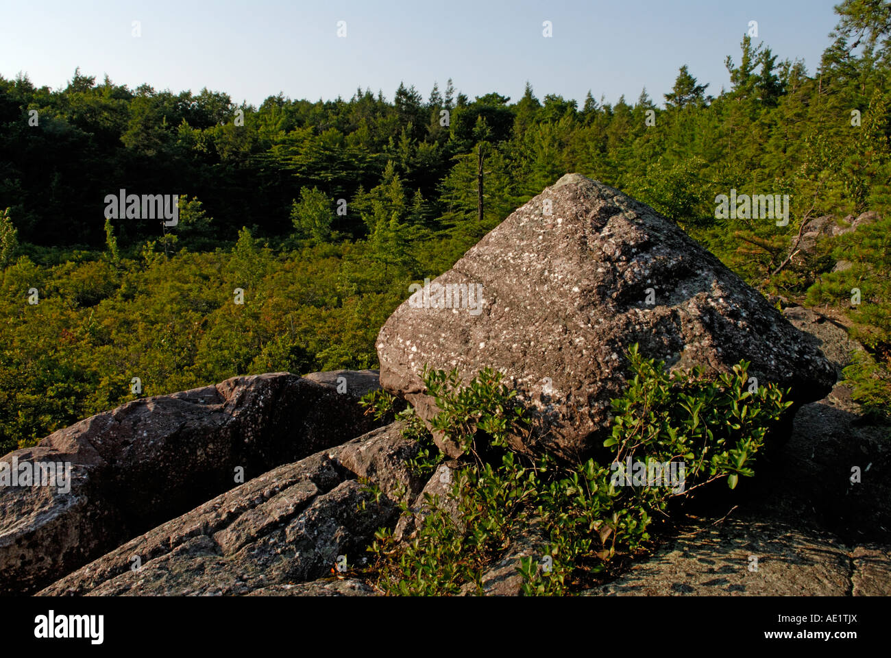 A large puddingstone boulder Abram Hewitt State Forest 'New Jersey' Highlands Stock Photo