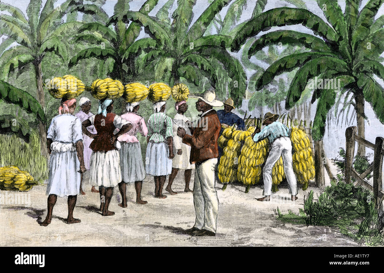 Jamaican women carrying bananas to a wharf for shipping to market 1800s