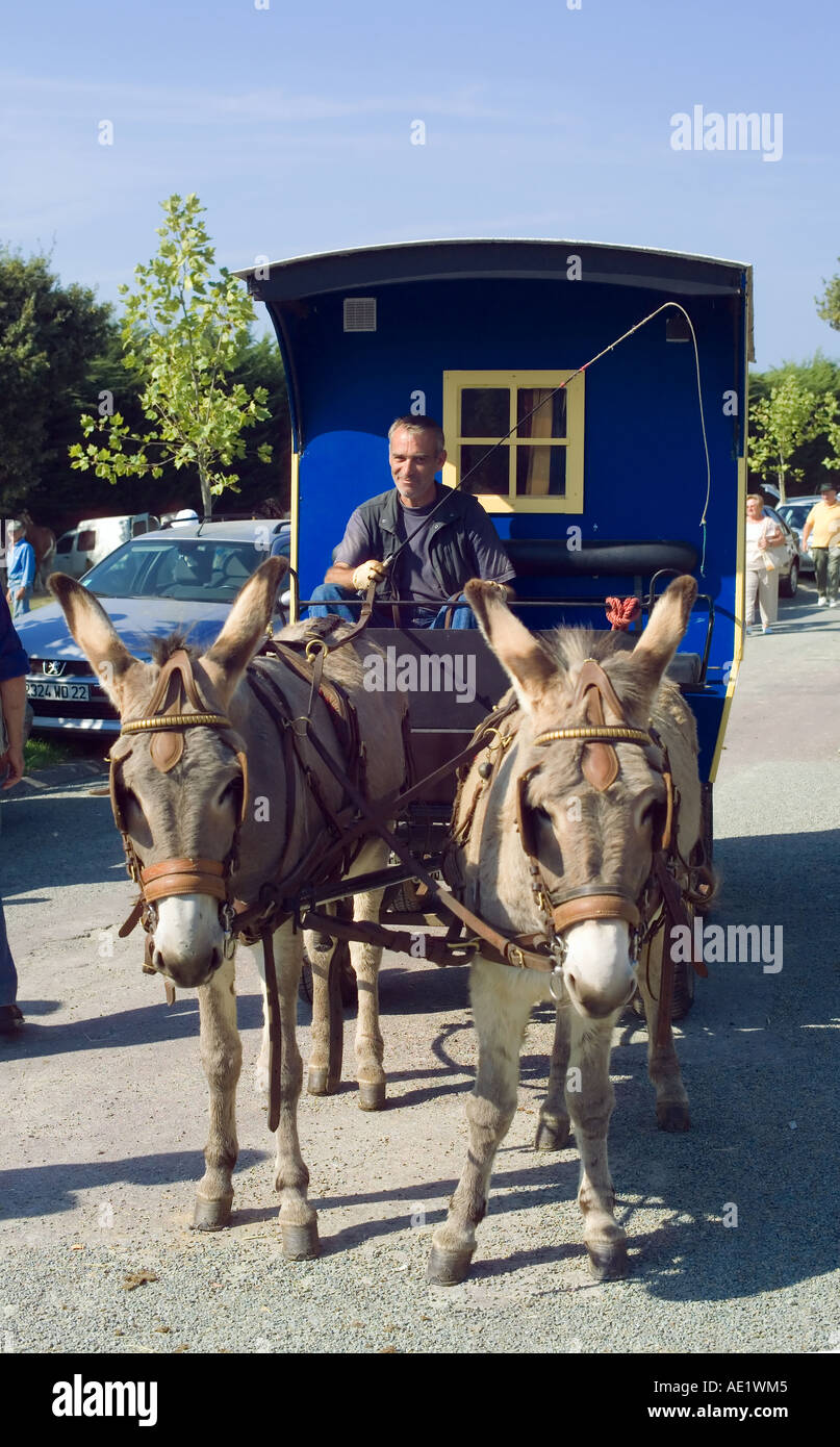 MAN DRIVING A DONKEY-DRAWN GIPSY CARAVAN PLOUBALAY COTEES D'ARMOR BRITTANY FRANCE EUROPE Stock Photo