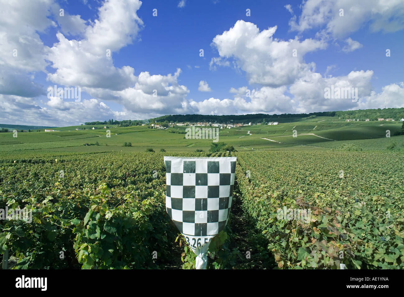 Vineyard marker for aerial crop spraying and Hautvillers village in the distance, Champagne, France, Europe Stock Photo