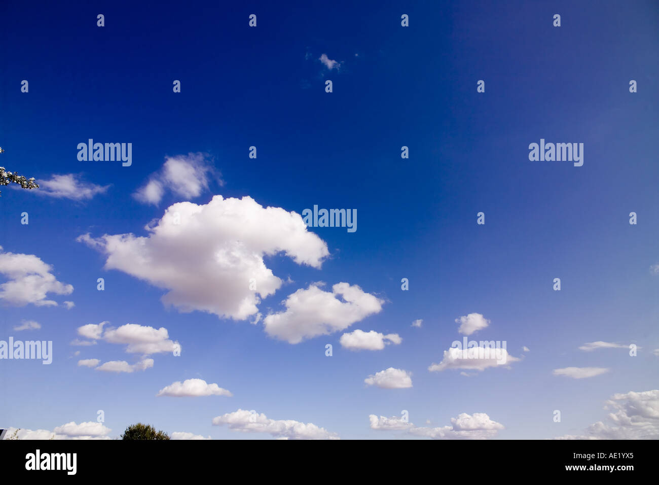 Puffy white clouds in a blue sky Stock Photo - Alamy
