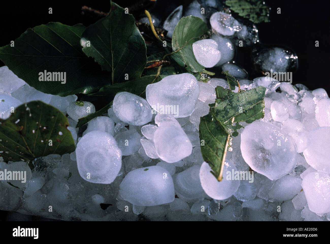 what-is-a-hailstorm