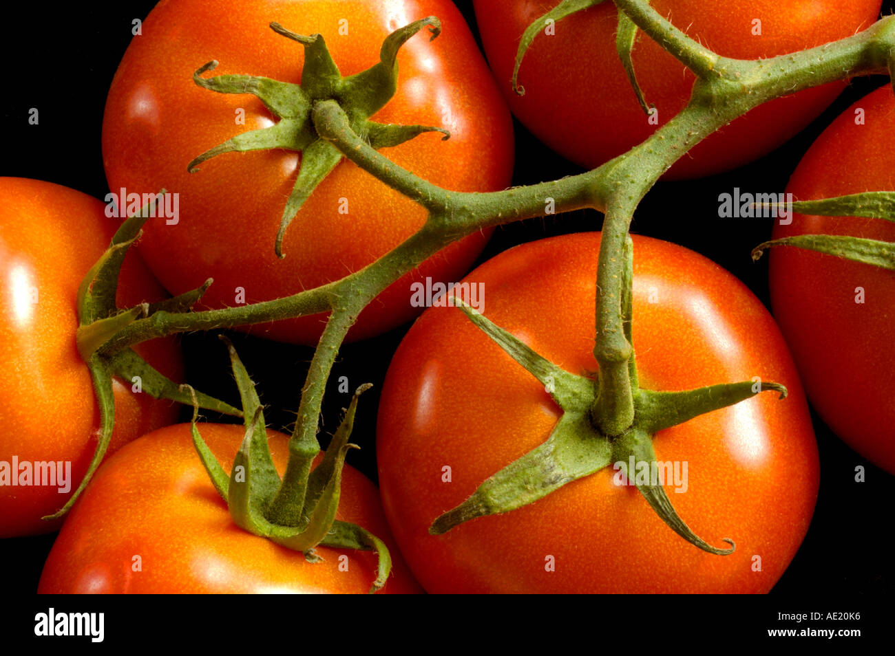 Organic tomatoes, good to eat! Stock Photo Alamy