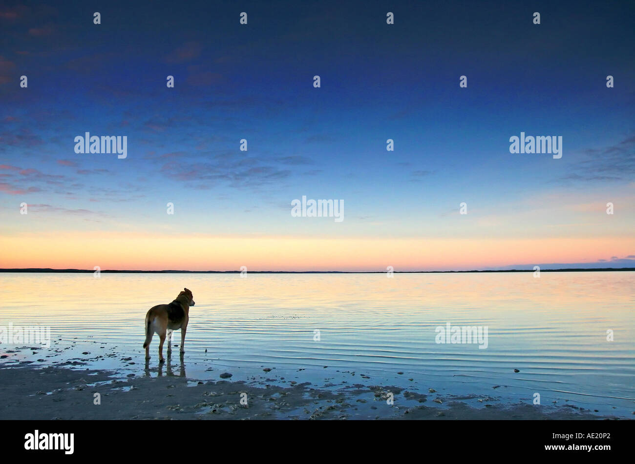 Lake George Sunrise silhouette cloud colour water reflections Stock